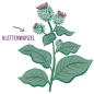 Preview: Klettenwurzel Brennnessel Extrakt