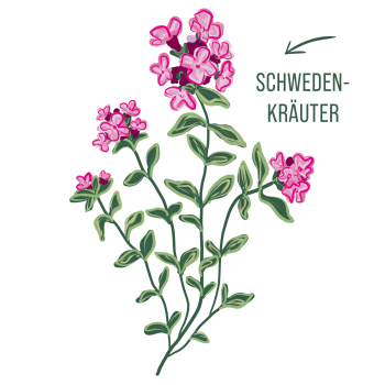 Schwedenkräuter Duschgel