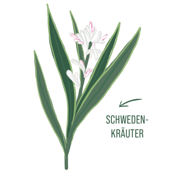 Schwedenkräuter-Lotion