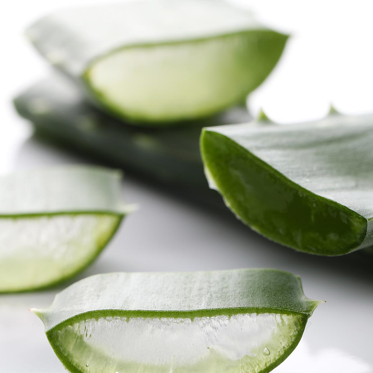 aloe vera saft eigenschaften Bio Aloe Vera Direktsaft 500ml  WILD BABOON