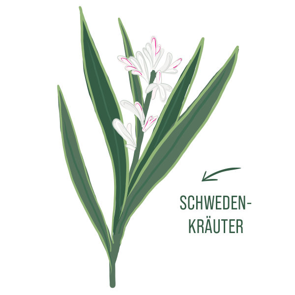 Schwedenkräuter-Lotion