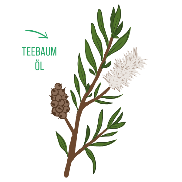 Tebaumöl - MT Naturprodukte
